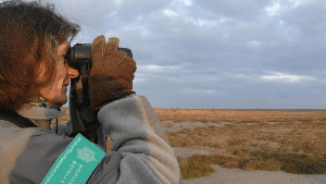 Woman watching through binoculars