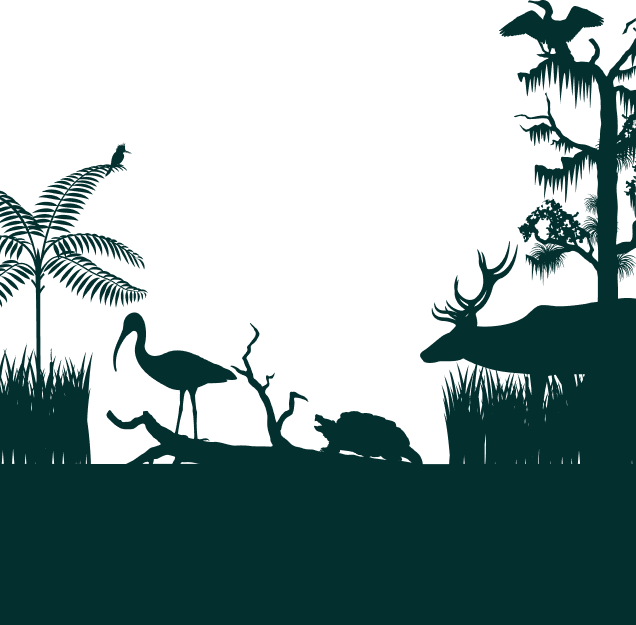 Wetland landscape silhouette with animals