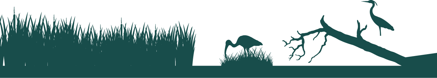 Grass silhouette