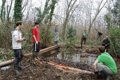 Volunteers working in a wet land site